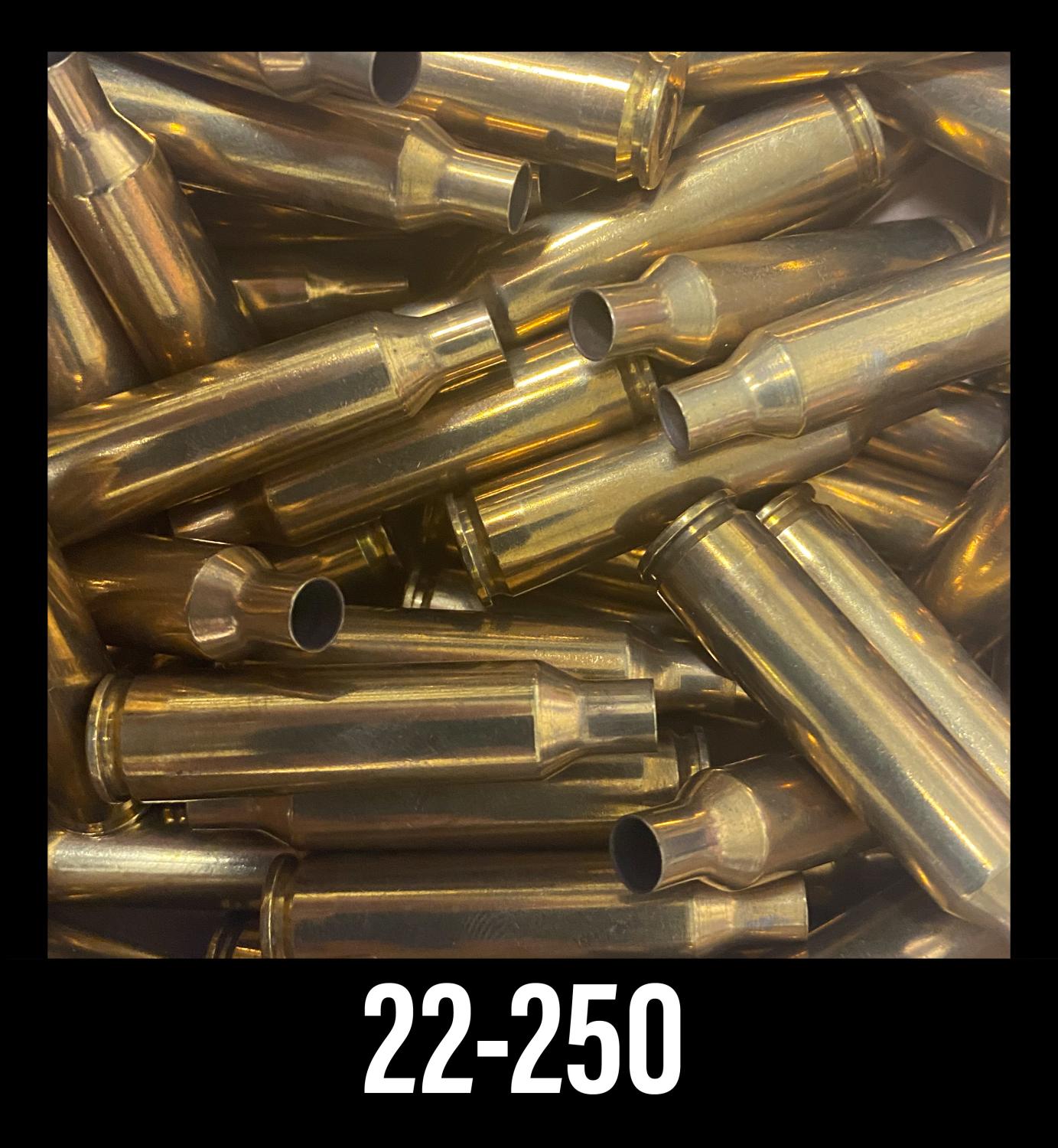  22- 250 Cleaned Brass 100ct