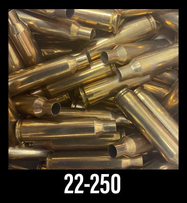 22-250 CLEANED BRASS 100CT
