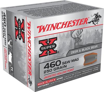 WINCHESTER X460SW 460SW 250 JHP 20/10