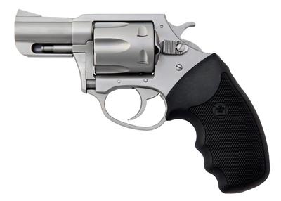 CHARTER ARMS PITBULL 40SW 2.5 SS