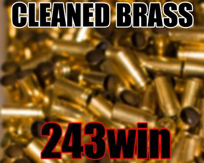243 WIN CLEANED BRASS 100CT